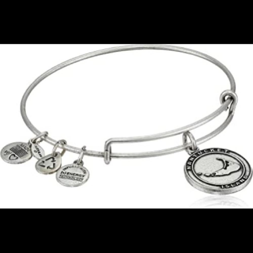 Alex and Ani “Nantucket” bracelet
